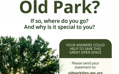 Call for Statements about Recreational Usage of Old Park