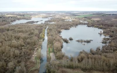 The Ecological Connectivity along the river Stour between Stodmarsh and Old Park