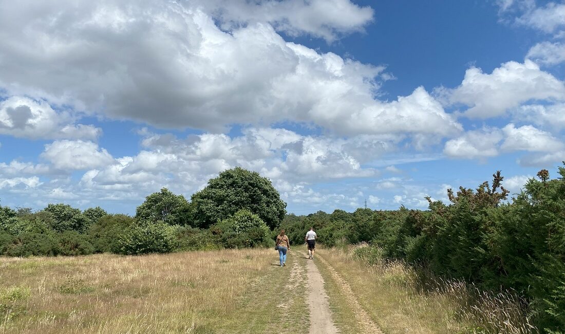 Canterbury Festival Walk – The Secrets of Old Park