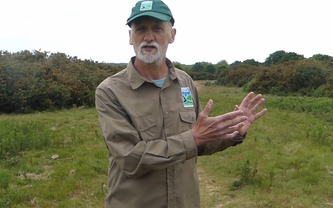 Video: Jon Shelton from the Kentish Stour Countryside Partnership speaks about the Importance of Old Park within the Stour Valley