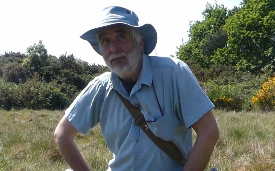 Richard Moyse on the Wonderfully Diverse Insect Life on Old Park