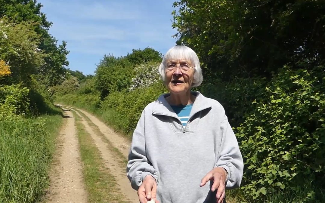 Professor Jan Pahl on Old Park’s amazing Archaeology