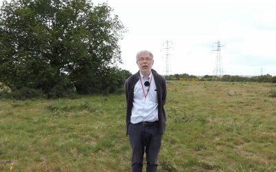 Colin Osborne on Old Park’s rare Acid Grassland Plants
