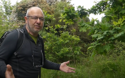 Dave Shenton from Kent Moth Group on Old Park’s Magnificent Moths