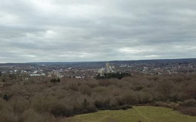 Drone Footage of Old Park and Chequer’s Wood, Canterbury