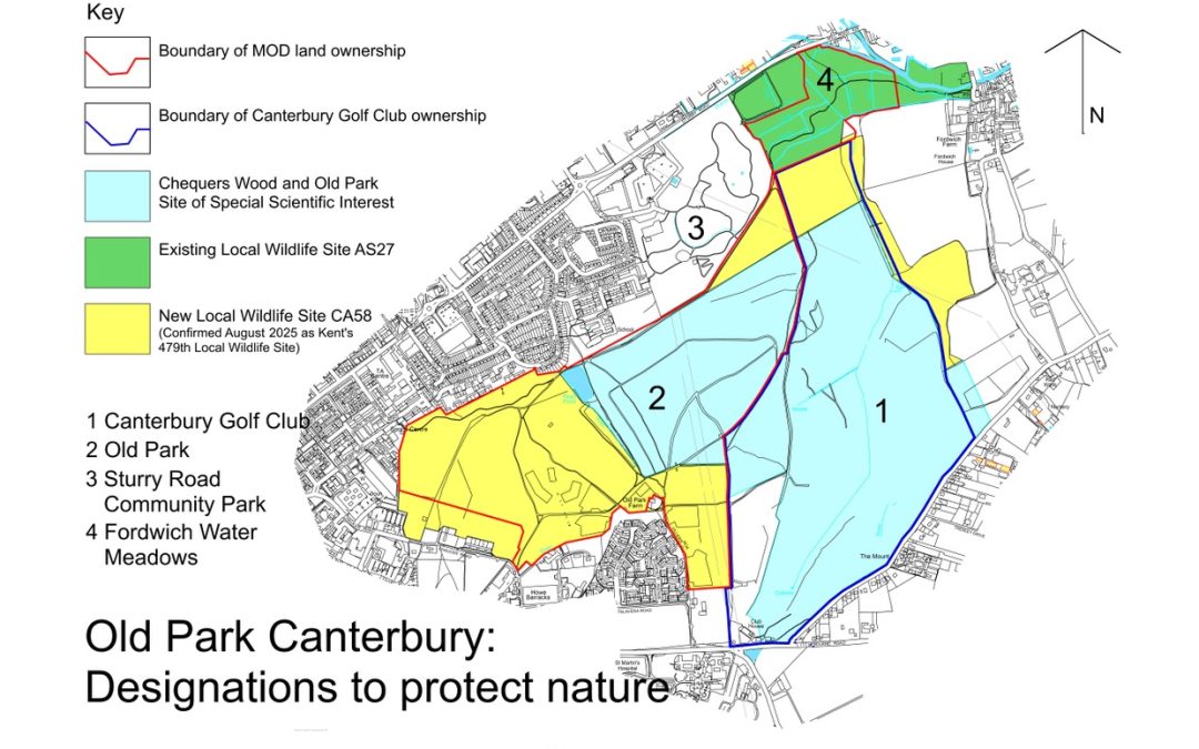 October 2025 Newsletter