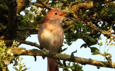 February 2025 Newsletter